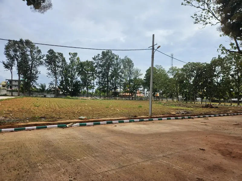 Open land with tree line and street light, Nagadasanahalli