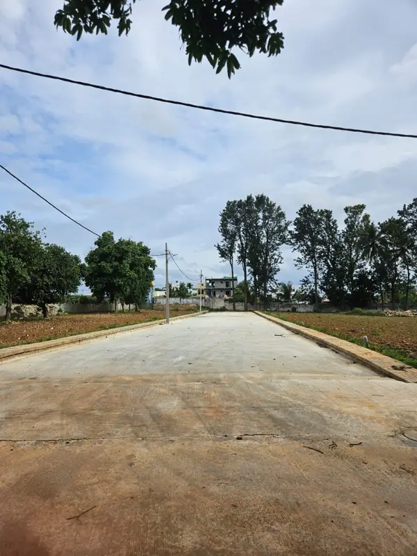 Internal road with kerbing and electric poles along the plot